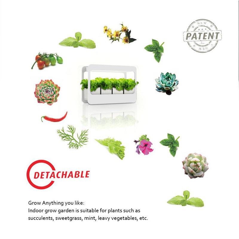 GrowLED Grow Light Herbs & Reviews Wayfair